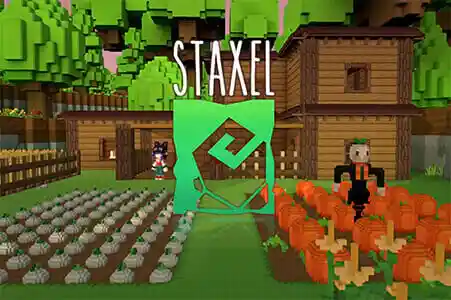 Game server rental, Staxel